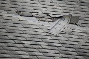 Roof Maintenance 101