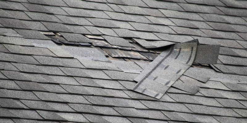 Roof Maintenance 101